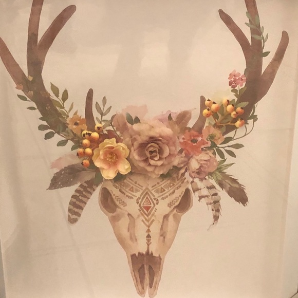 COPY - Meet your Posher, Jax - Picture 13 of 16